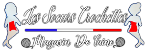 Logo Les Soeurs Crochettes
